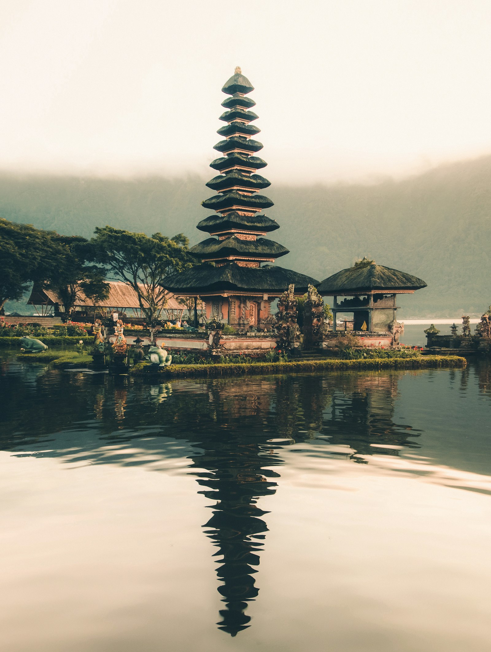 Sawah terasering di Bali bersama BaliDrive
